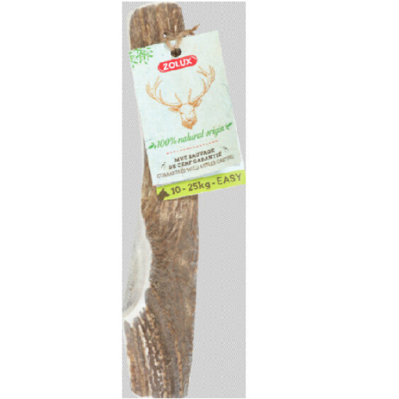 Bois de cerf biseauté M pour chien