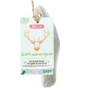 Bois de Cerf Biseauté XXS pour petit chien