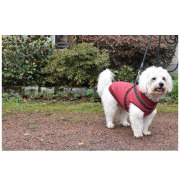 Manteau doudoune imperméable avec harnais intégré Easy bordeaux