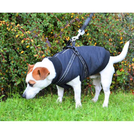 Doudoune noire pour chien avec harnais intégré