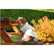 Doudoune parka imperméable verte pour chien