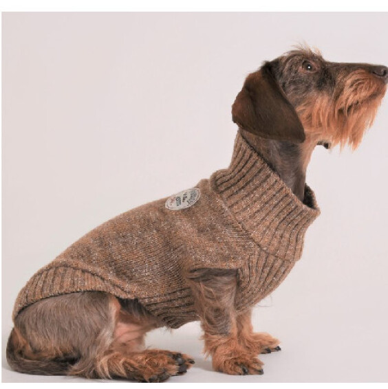 Pull Today choco pour chien ultra-doux