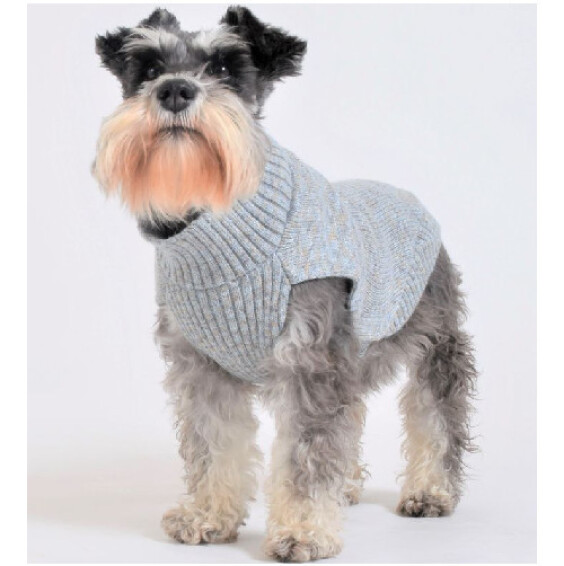 Pull Today bleu doux pour chien Chic & Douillet