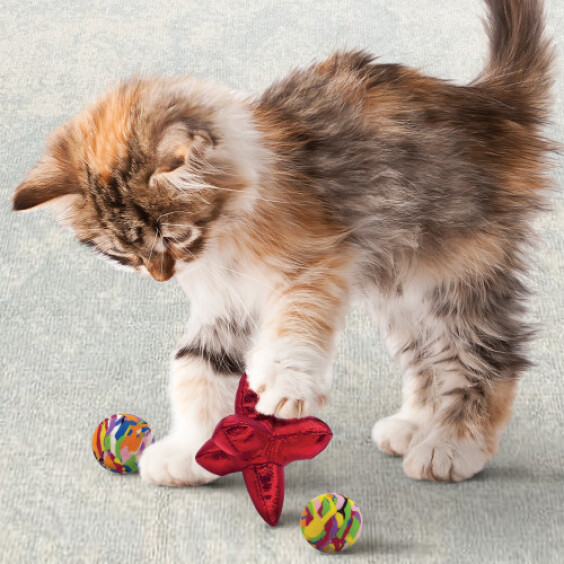 KONG Jouet chat Active Jacks x3