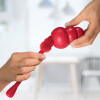 KONG Brosse de nettoyage facile
