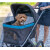 Poussette pour chien tout terrain