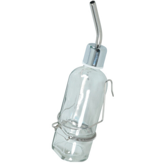 Biberon cochon d’Inde en verre