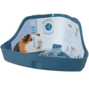 Toilette d’angle cochon d'Inde