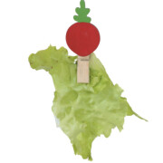 Corde cochon d’inde 150 cm