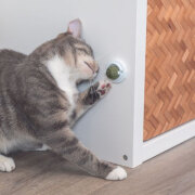 Balle herbe à chat, fixation surface lisse