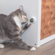 Balle à herbe à chat, fixation sur surface lisse
