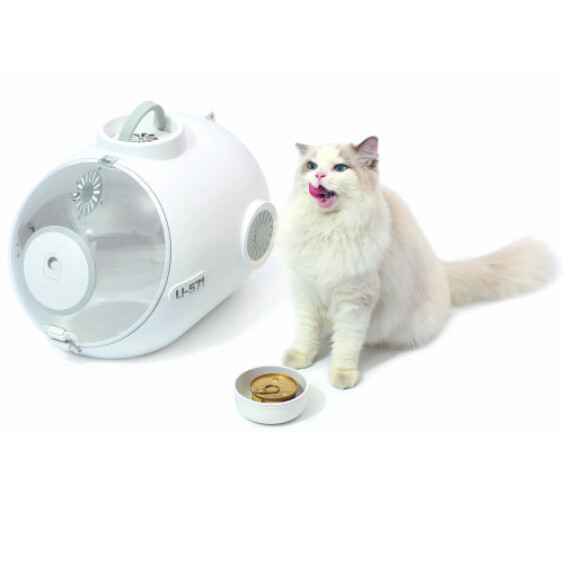 Caisse de transport pour chat et chien