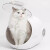SUBMARINE Caisse transport pour chat et chien