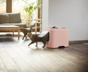 Maison de toilette fermée BIALA ROSE