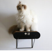 Griffoir mural en carton David