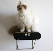 Griffoir mural en carton