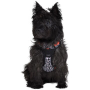 Harnais Anti-traction pour chien Rando Monoi Orange