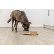 Gamelle double bois, céramique bambou Design