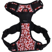 Harnais Anti-traction pour chien Rando Monoi Bordeaux