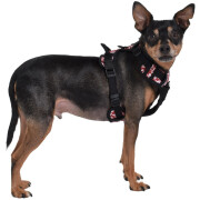 Harnais Anti-traction pour chien Rando Monoi Bordeaux