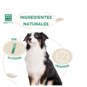 Eau de Cologne parfum tropical pour chien