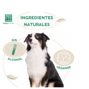 Eau de Cologne parfum vanille pour chien