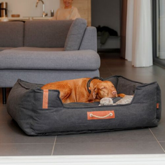 Panier pour chien noir