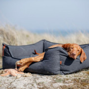 Panier pour chien noir