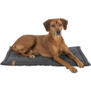 Tapis confortable pour chien noir