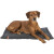Tapis confortable pour chien noir
