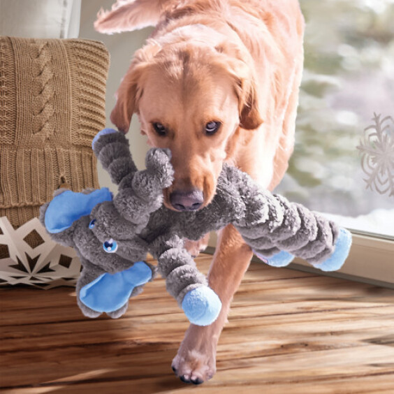 KONG Peluche Shakers Crumples Éléphant XL