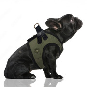 Milk & Pepper Harnais veste safari HARISSON kaki pour chien