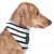 Bandana pour chien rayé GURVAN