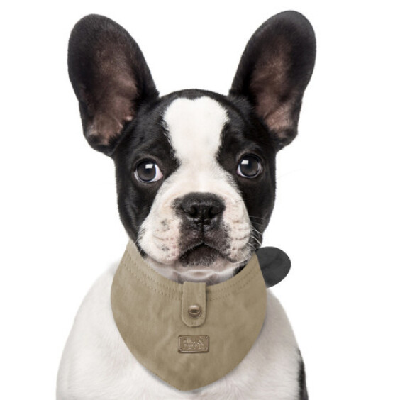 Milk & Pepper Bandana safari beige Jefferson pour chien