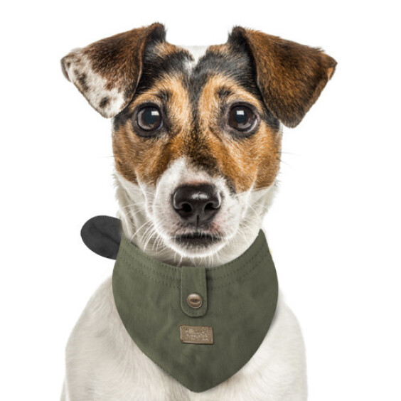 Milk & Pepper Bandana safari kaki Jefferson pour chien
