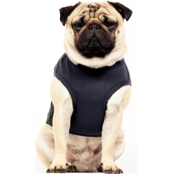 Milk & Pepper T-shirt spécial bouledogue Heloise Love bleu marine