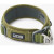 Collier large urban explorer VERT pour chien