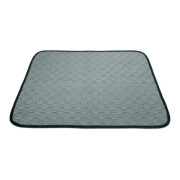 Tapis de propreté lavable pour chien
