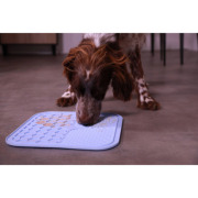 Tapis de léchage chien silicone