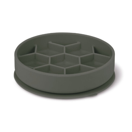Gamelle pour chien glouton avec ventouse