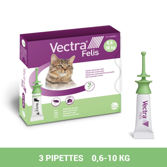 Pipette anti-puce pour chat