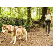 Harnais chien Style UPKA I-Dog gris