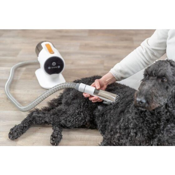 Brosse aspirateur chien : tondeuse