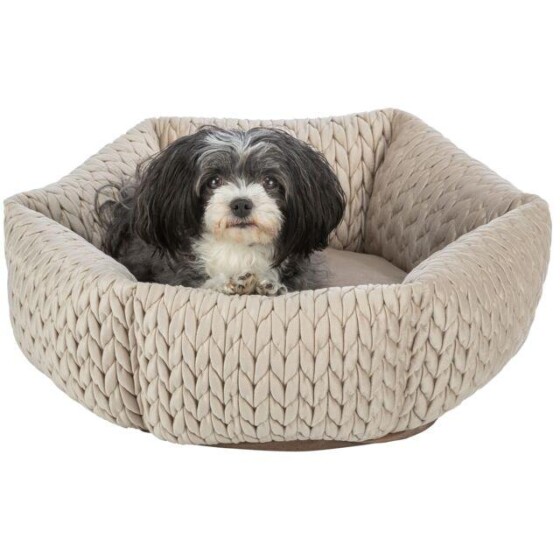 Panier pour petit chien : Chien moyen et chiot confort LIVIA