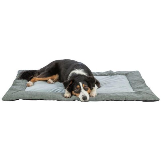 Matelas pour chiot confortable bleu/gris