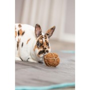Balle à ronger en fibre de noix de coco pour lapin 100 % naturel