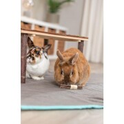 Jouet pour lapin nain naturel, algue et bois, luffa