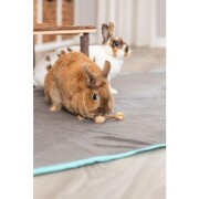 Jouet haltères bois et herbe lapin nain