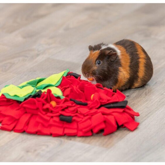 Tapis de fouille lapin forme fraise
