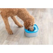 Gamelle de voyage anti débordement pour chien